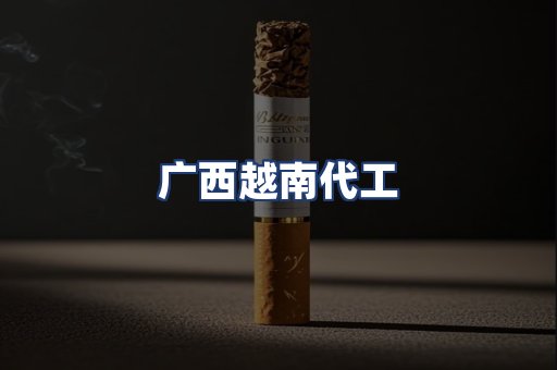 广西越南代工